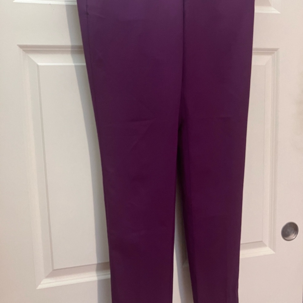 6L Banana Republic Ryan Pants—Plum